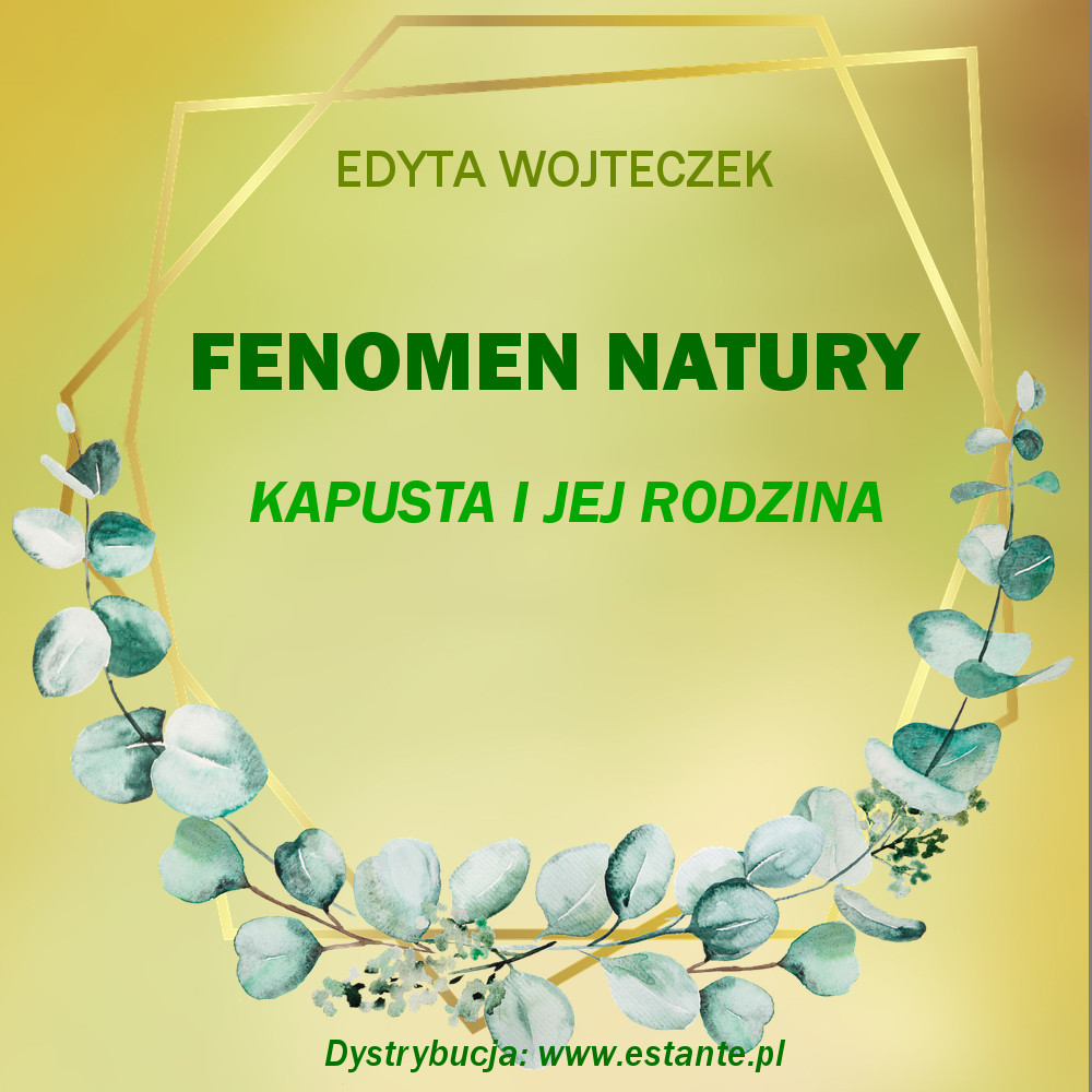 Fenomen natury. Kapusta i jej rodzina